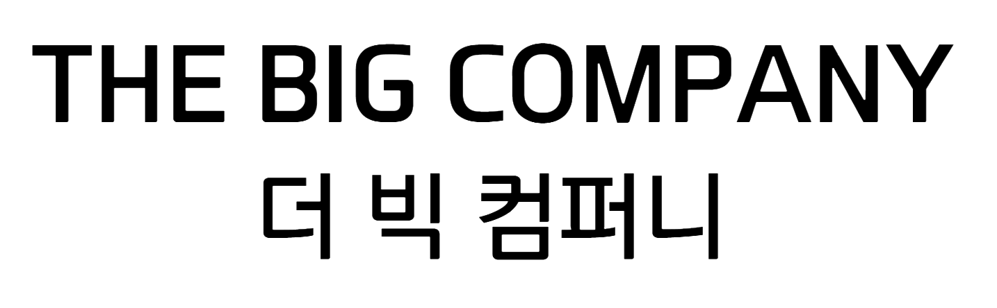 더 빅 컴퍼니